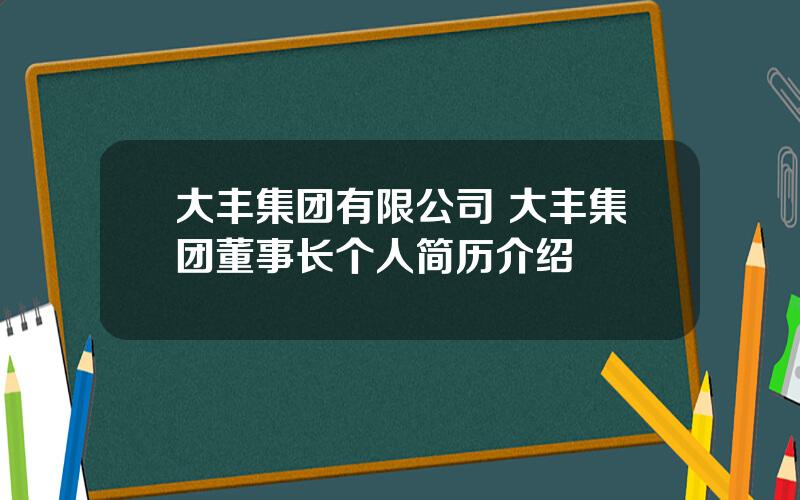 大丰集团有限公司 大丰集团董事长个人简历介绍